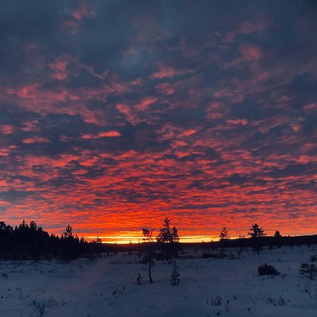 Pasvik Taiga Hotel Skogfoss Eksteriør billede